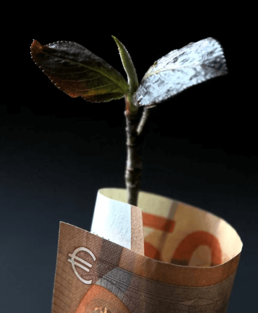 국내 S&P 500 ETF 총정리: 나에게 맞는 투자 고르기