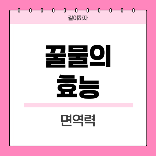 꿀물의효능