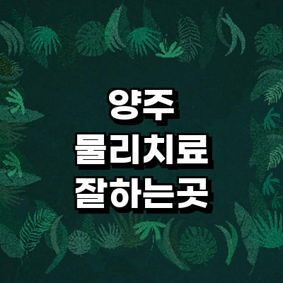 양주시 정형외과