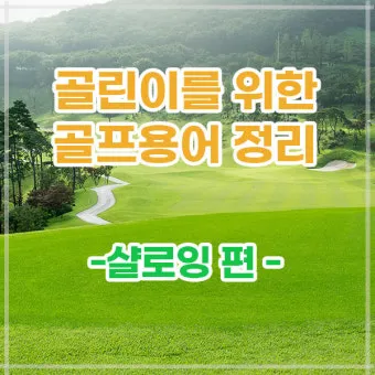 골프 샬로잉 감각 익히는 연습 채찍질 이미지 인사이드 패스_7