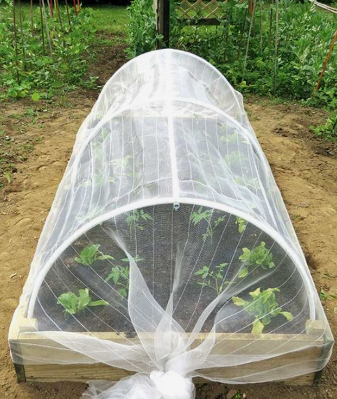 다수확 고품질의 유기농법