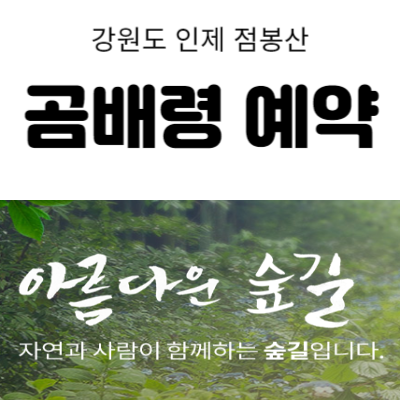 곰배령 예약하기