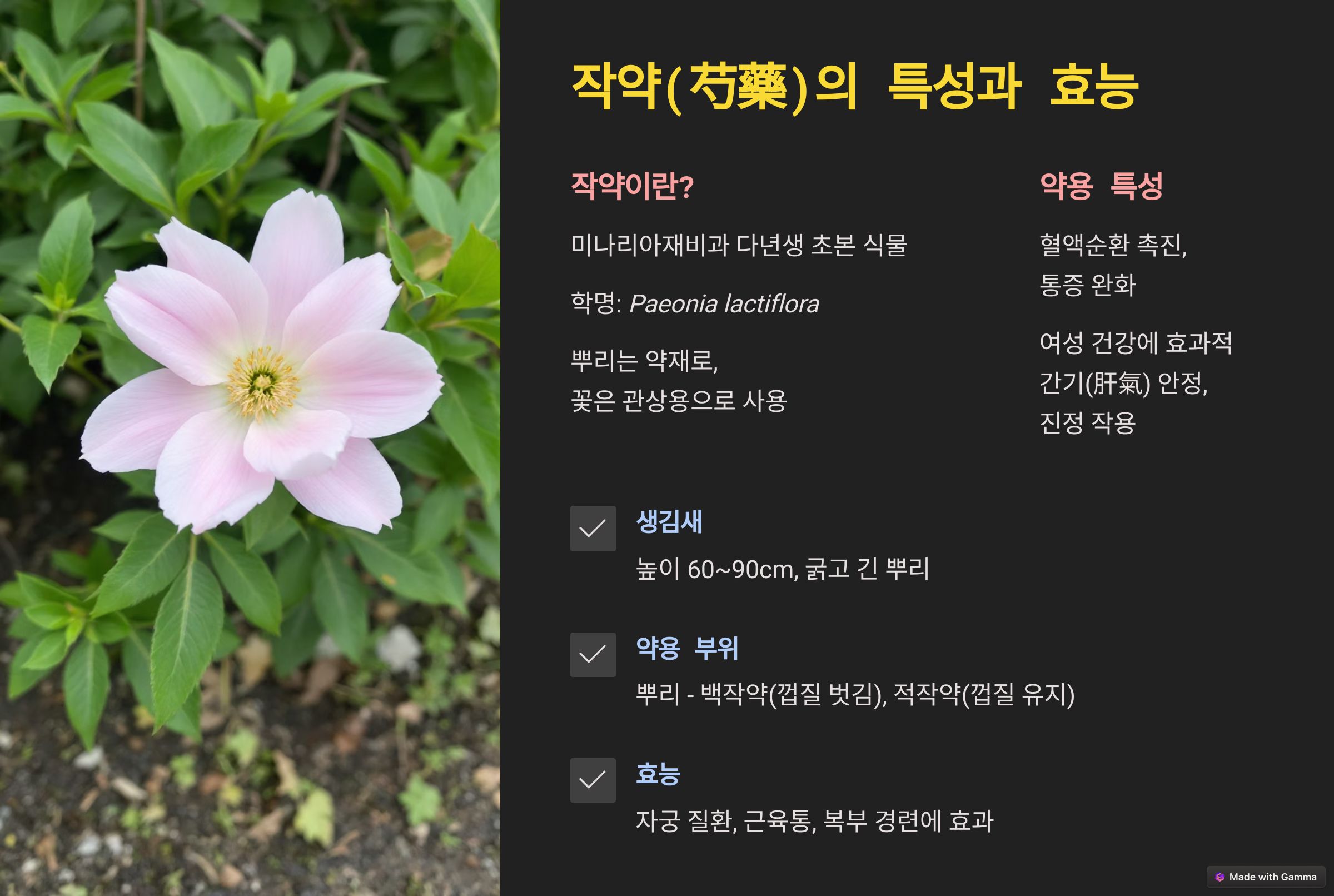 작약의 효능