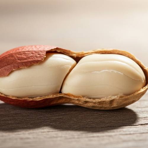 땅콩 효능 포스팅 글의 땅콩 사진