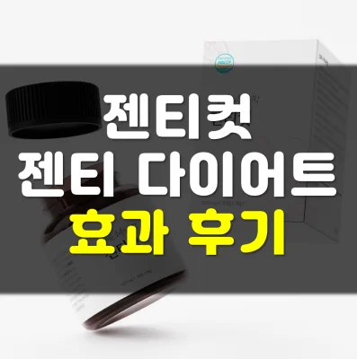 젠티-다이어트