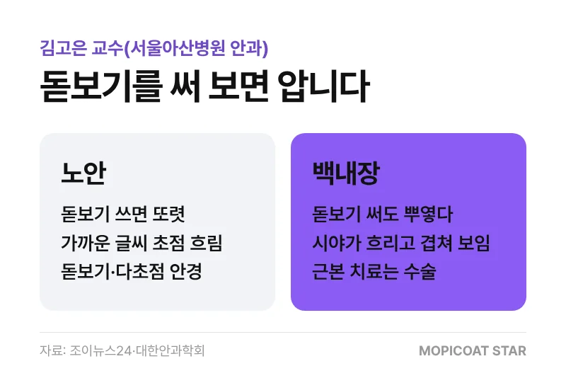 노안과 백내장 차이 비교