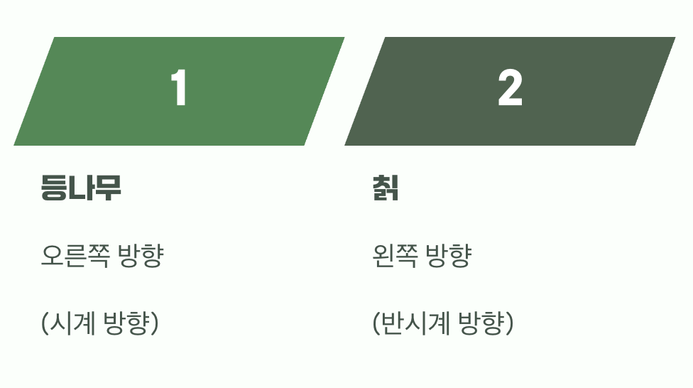 줄기가 감는 방향도 반대예요
