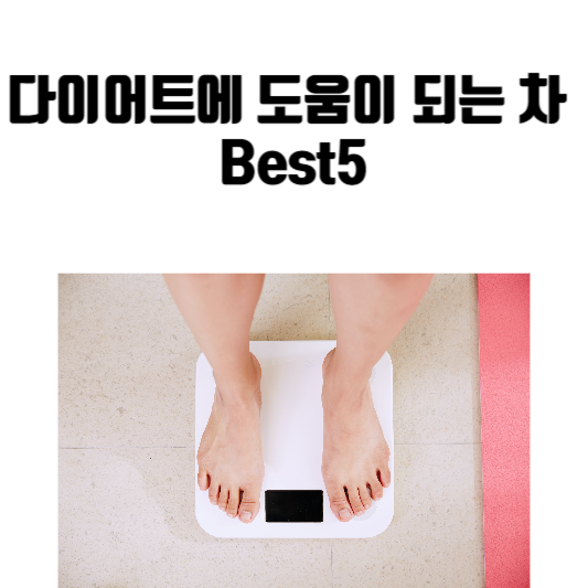 다이어트에 도움이 되는 차 Best5