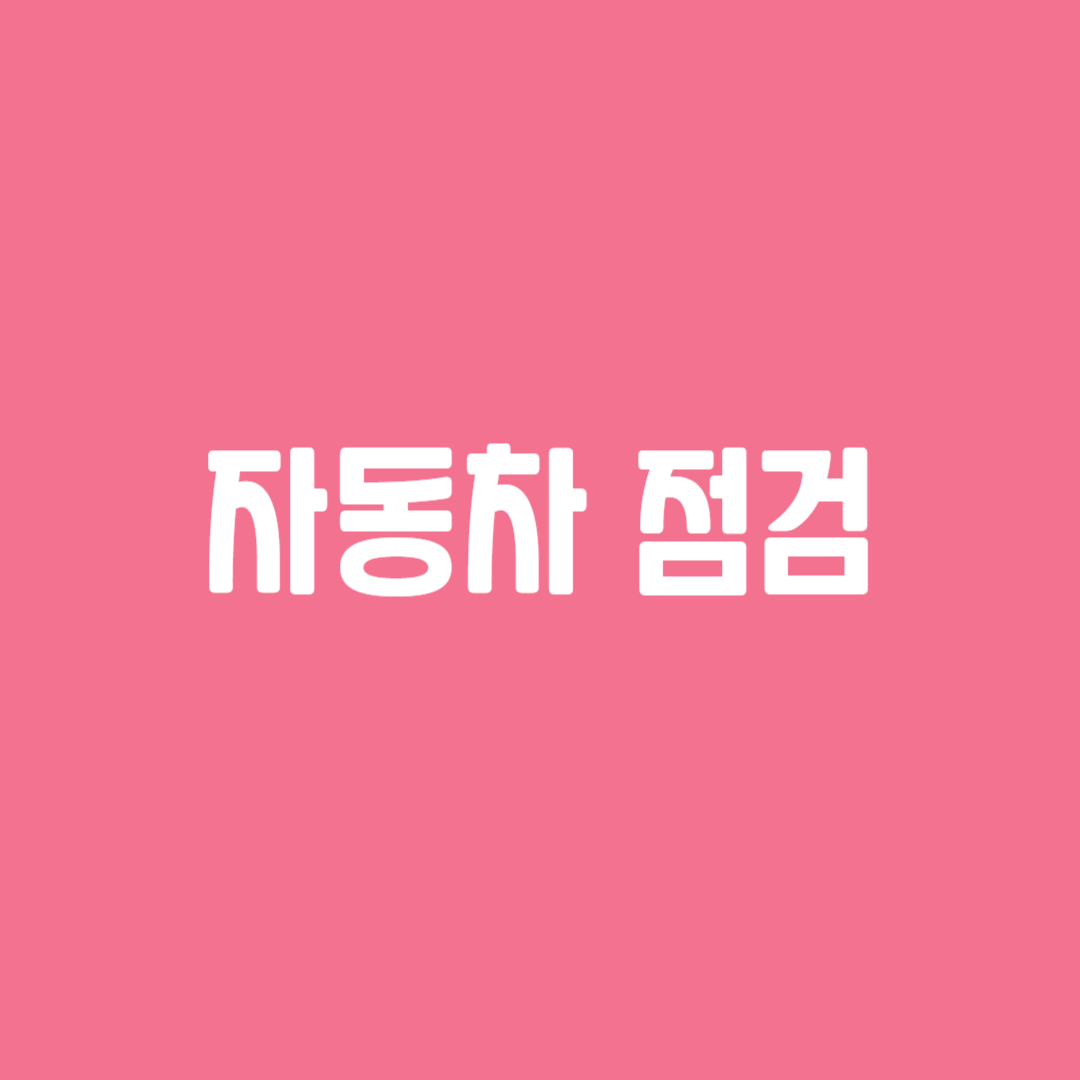 자동차 점검