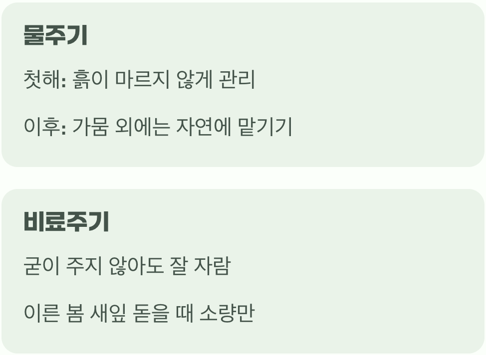 필요한 만큼만, 물과 비료