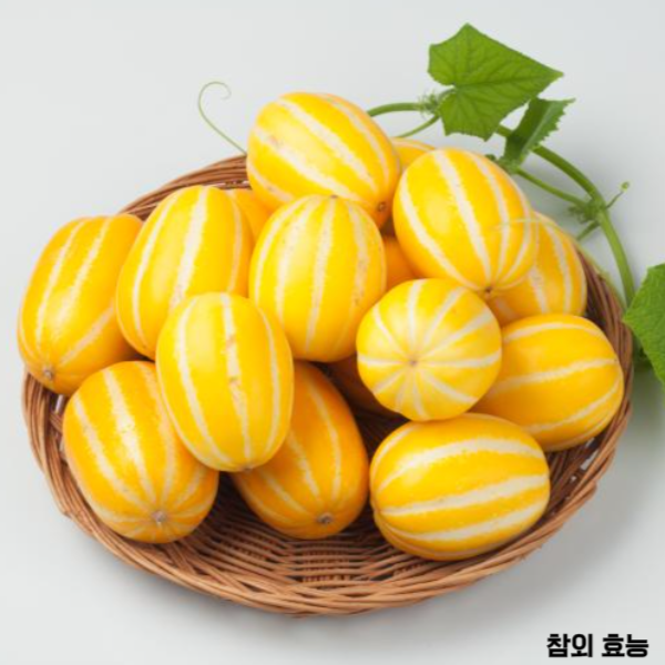 참외 효능 : 참외 효능 알고 드세요!