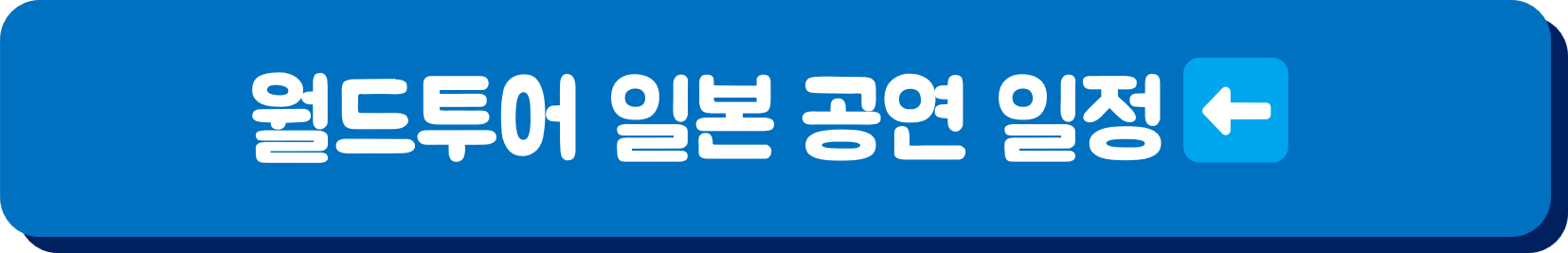 세븐틴 월드투어 콘서트
