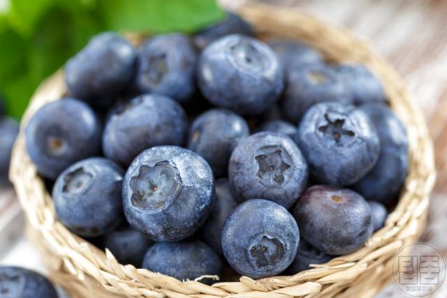 혈액순환 잘되는 음식 블루베리,천연 혈관확장제 추천