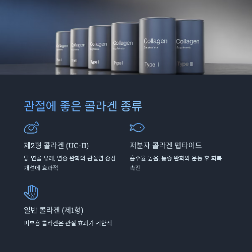 콜라겐, 관절 통증 완화에 효과 있을까? 과학적 근거로 정리한 현실 조언