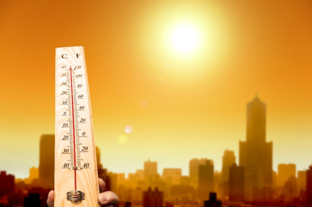 폭염-대비-경보-폭염주의보