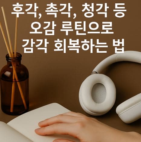 오감 자극을 형상화한 이미지