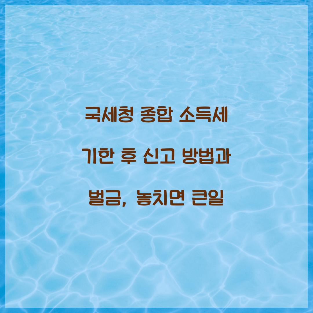국세청 종합 소득세 기한 후 신고 방법과 벌금