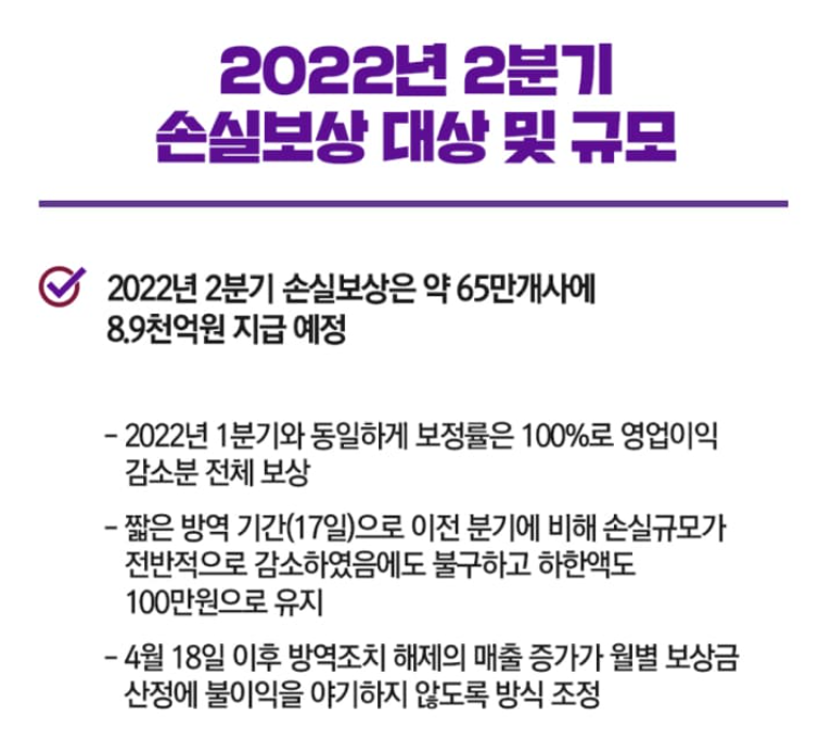 소상공인 손실보전금