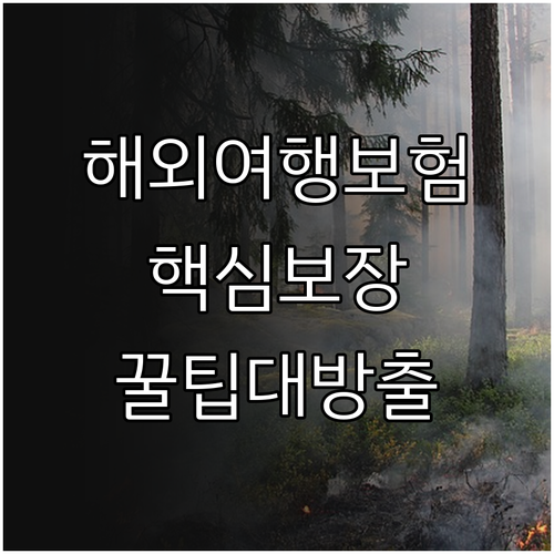 해외여행 보험 파헤치기: 핵심 보장