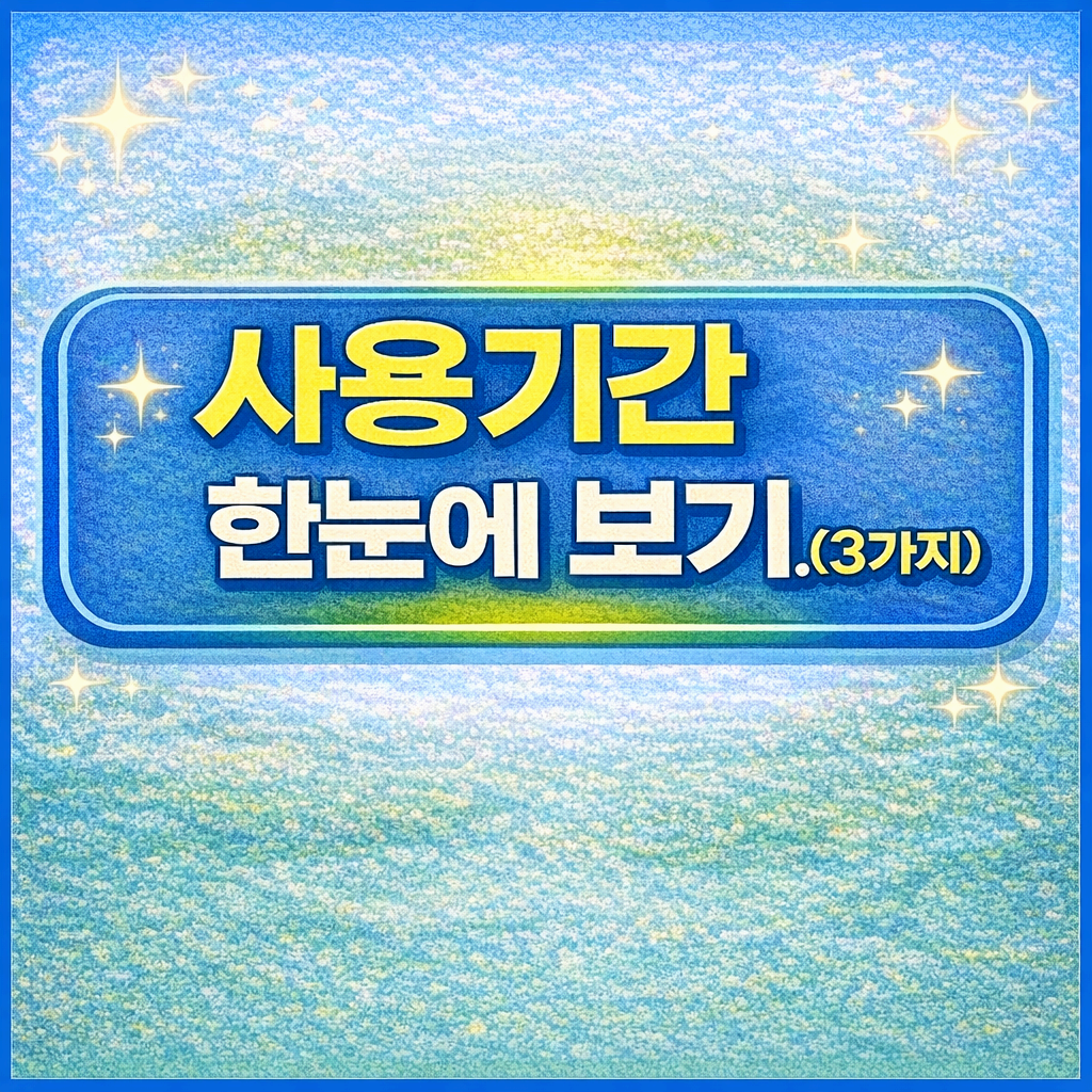 사용기간 한눈에 보기