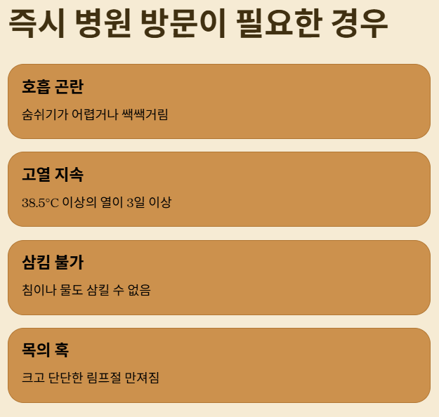 인후염 증상