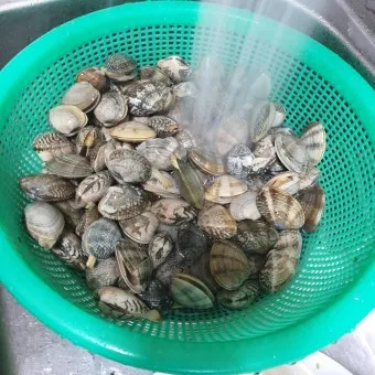 바지락 해감시키는법 깨끗하게 해감하는 방법_24
