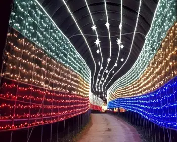 고니골 빛축제_4