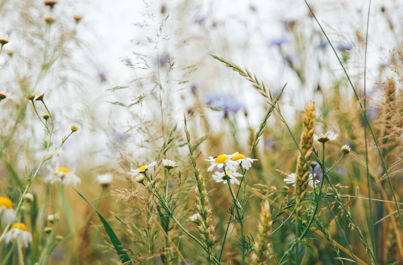 봄 환절기 노인 건강 관리 방법