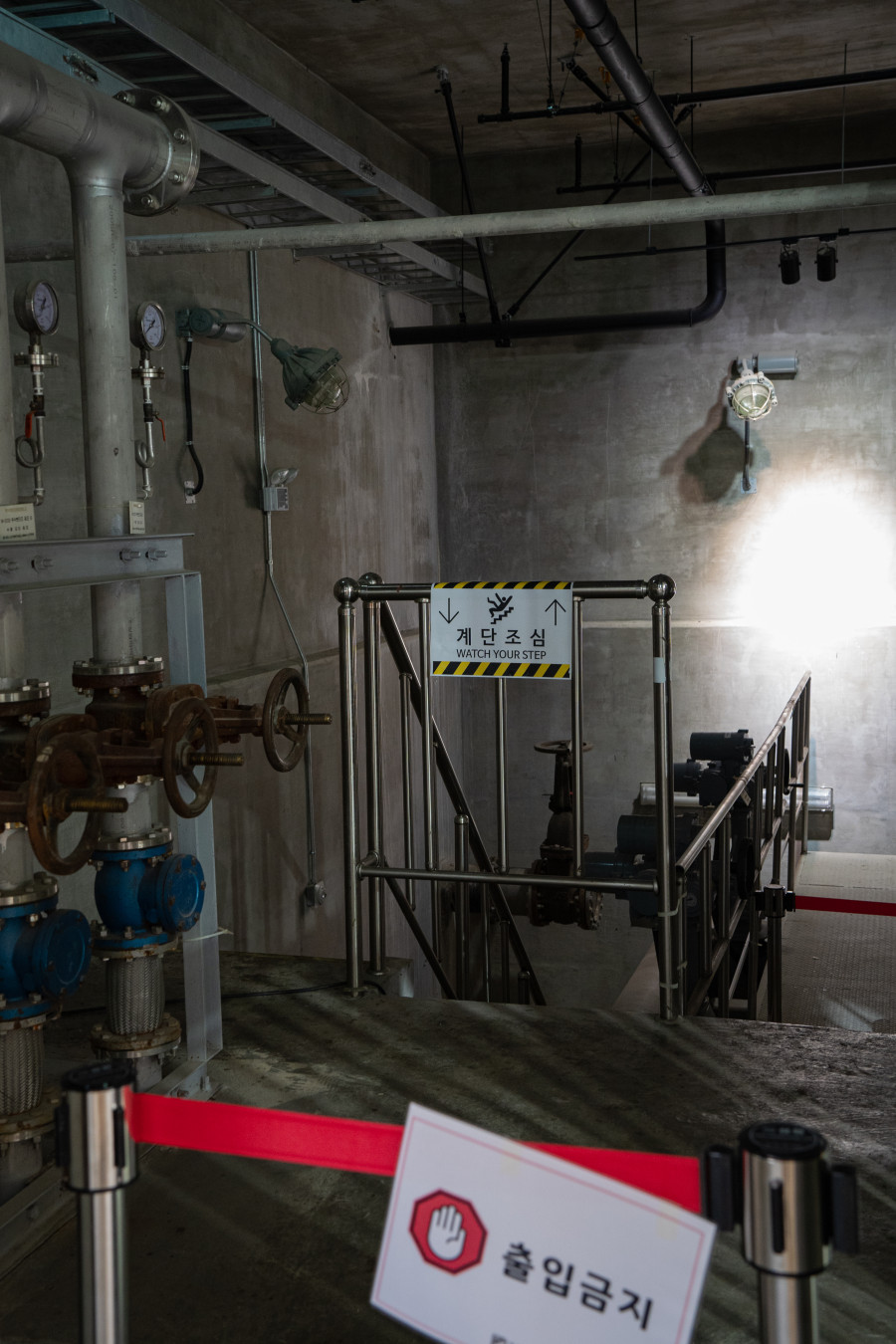 고색 뉴지엄 출입금지구역