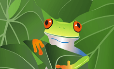 집 안에서 개구리를 보는 꿈해몽