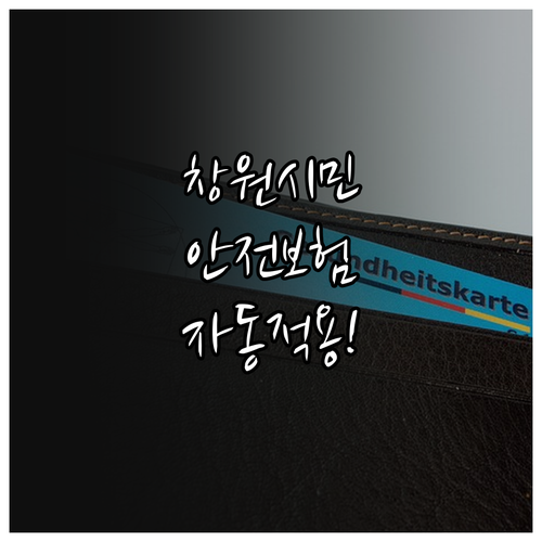 창원시민 필독 2025 시민안전보험 ..