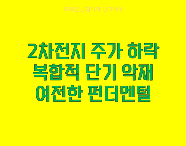 2차전지 섹터 전망