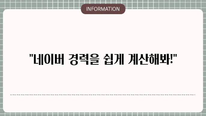 경력 입력 예시