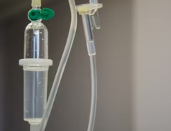 보건증 인터넷발급 출력 방법 용도 기간 발급 병원 총정리 (건강진단결과서)