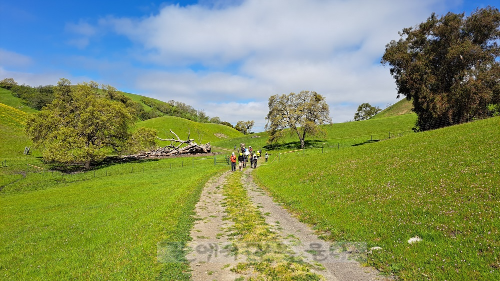 Sunol Regional Wilderness