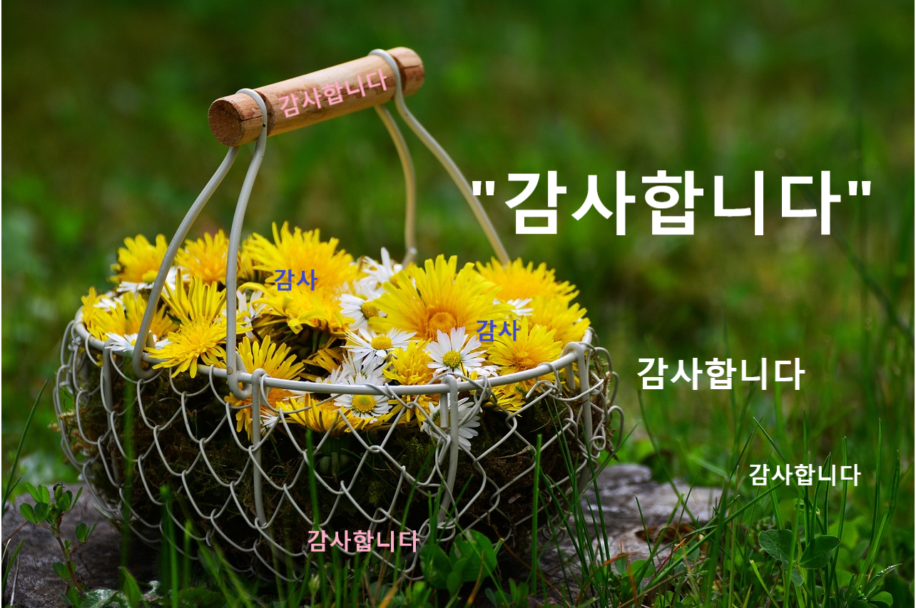 감사합니다 관련 이미지
