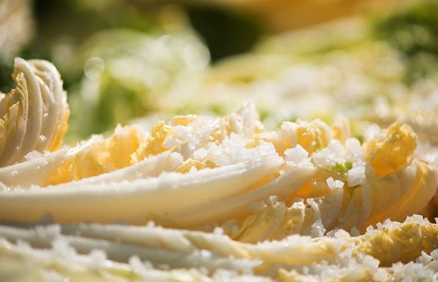 홈플러스 절임배추 사전예약