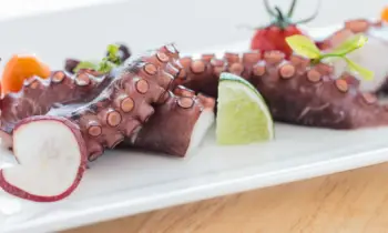 문어 가격 및 효능&amp;#44; 영양성분