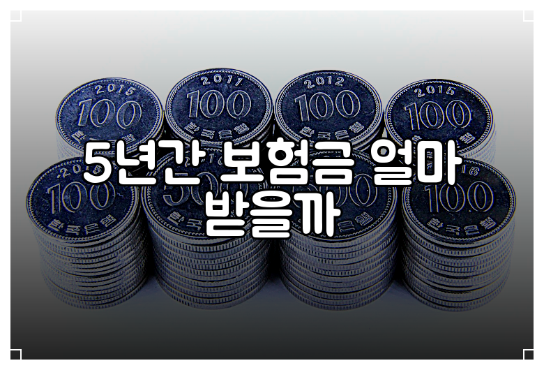 5년간 보험금 얼마 받을까