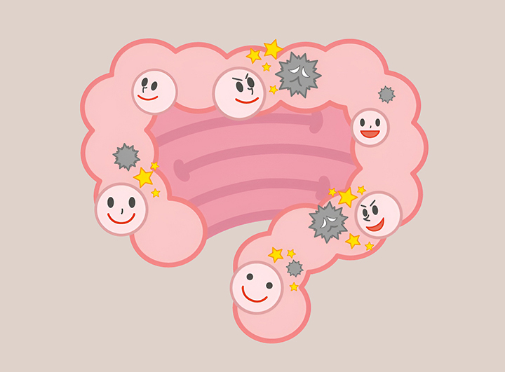 장내-유익균-성장을-돕는-모습