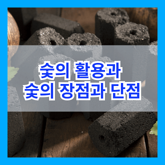 숯의 활용과 장단점