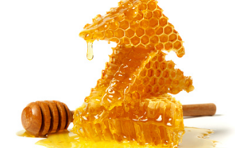 프로폴리스 효능