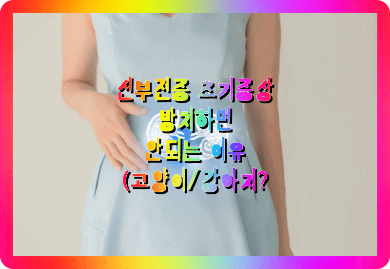 신부전증 증상 원인 치료방법