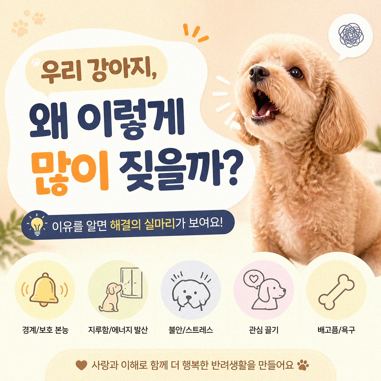 강아지 짖음 문제, 우리 집 반려견에 맞는 해결책 찾기