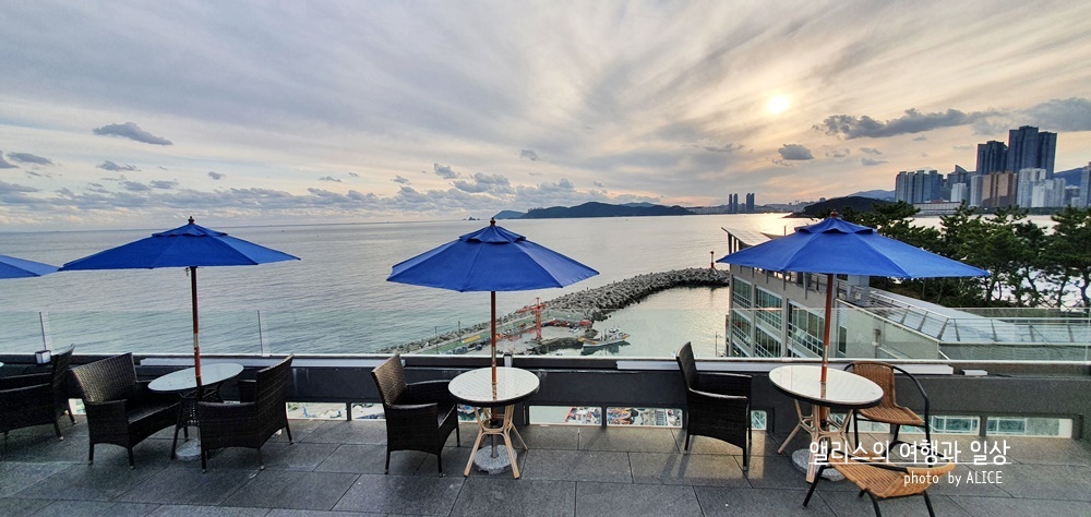 2021년 호텔 결산 QnA (제일 좋은, 가성비 좋은, 특색있는 호텔 등등등) ... 여행블로거 &amp;amp;amp; 크리에이터 앨리스