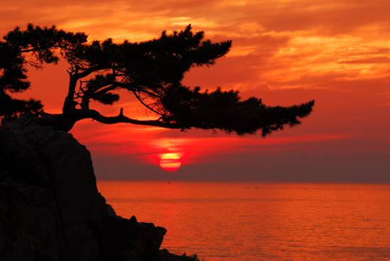 울진 망양정 일출