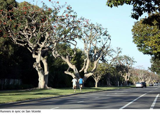브렌트우드(Brentwood) — 고요한 언덕과 세련된 일상이 공존하는 로스앤젤레스의 숨은 동네