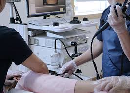 대장내시경 비용 총정리