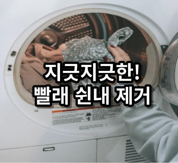 빨래 쉰내 제거 원인과 제거방법