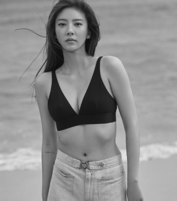 손담비